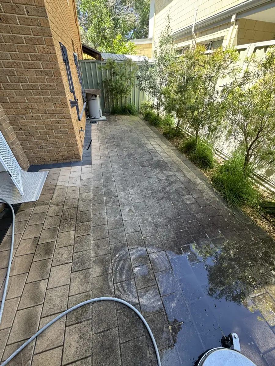 Stained, greened paver path in a shaded Perth garden before a surface clean