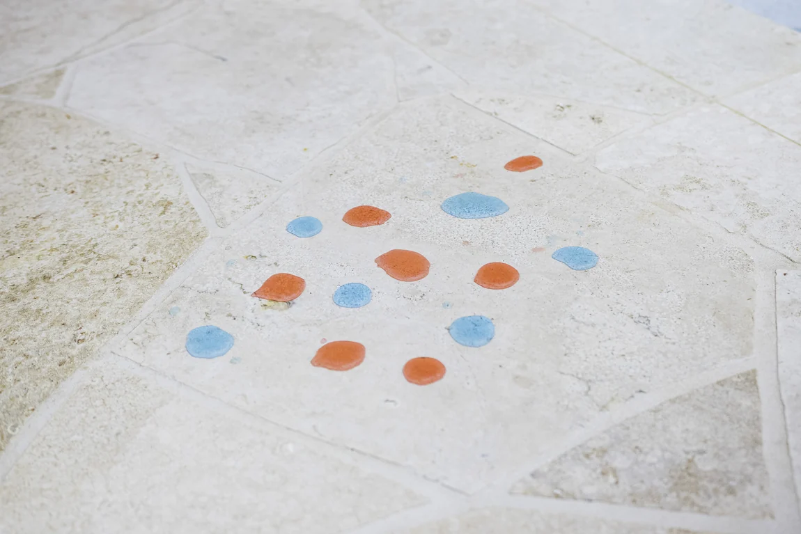 Dyed water and oil droplets beading on a sealed tiled surface instead of soaking in