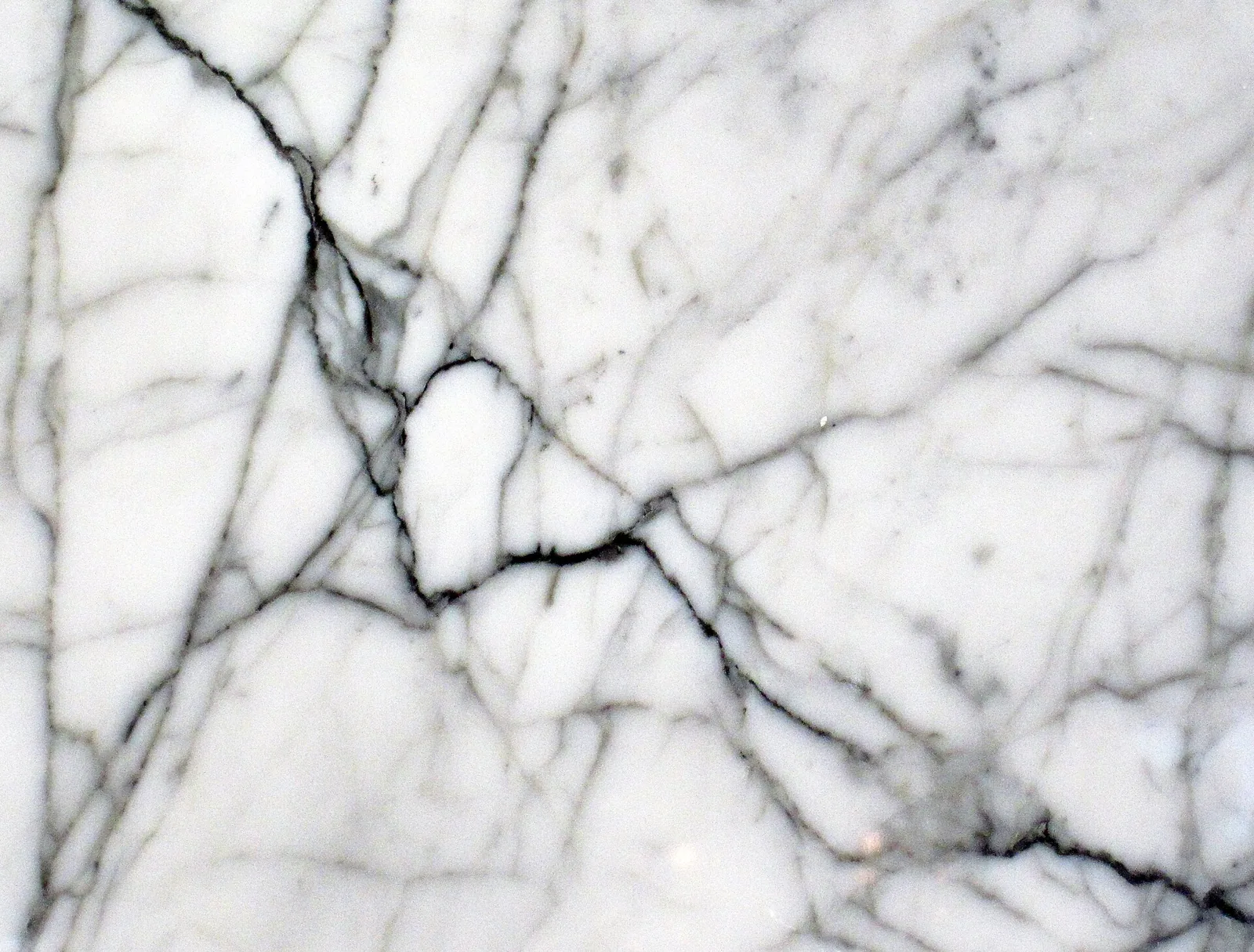 Polished white marble with grey veining