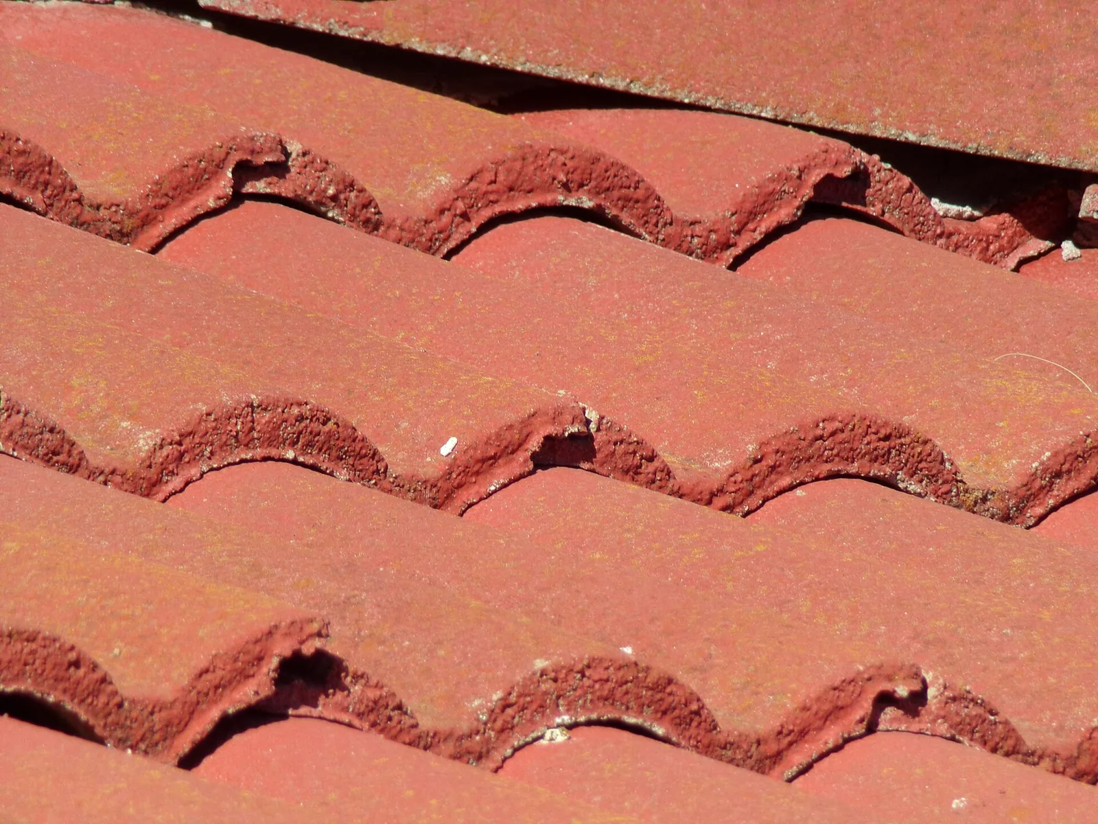 Terracotta roof tiles